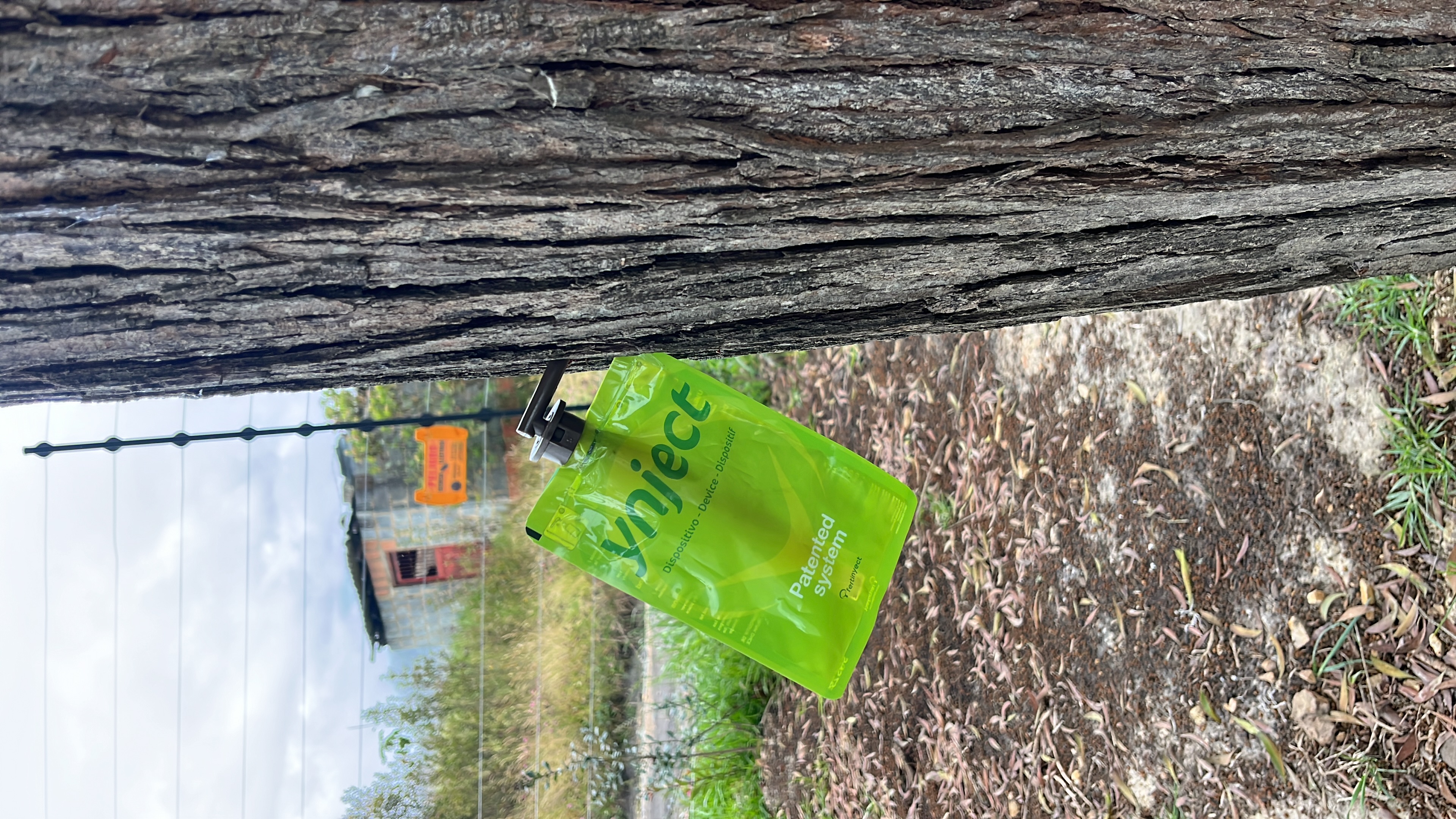 🌳 Endoterapia vegetal: la tecnología que está transformando el cuidado de los árboles