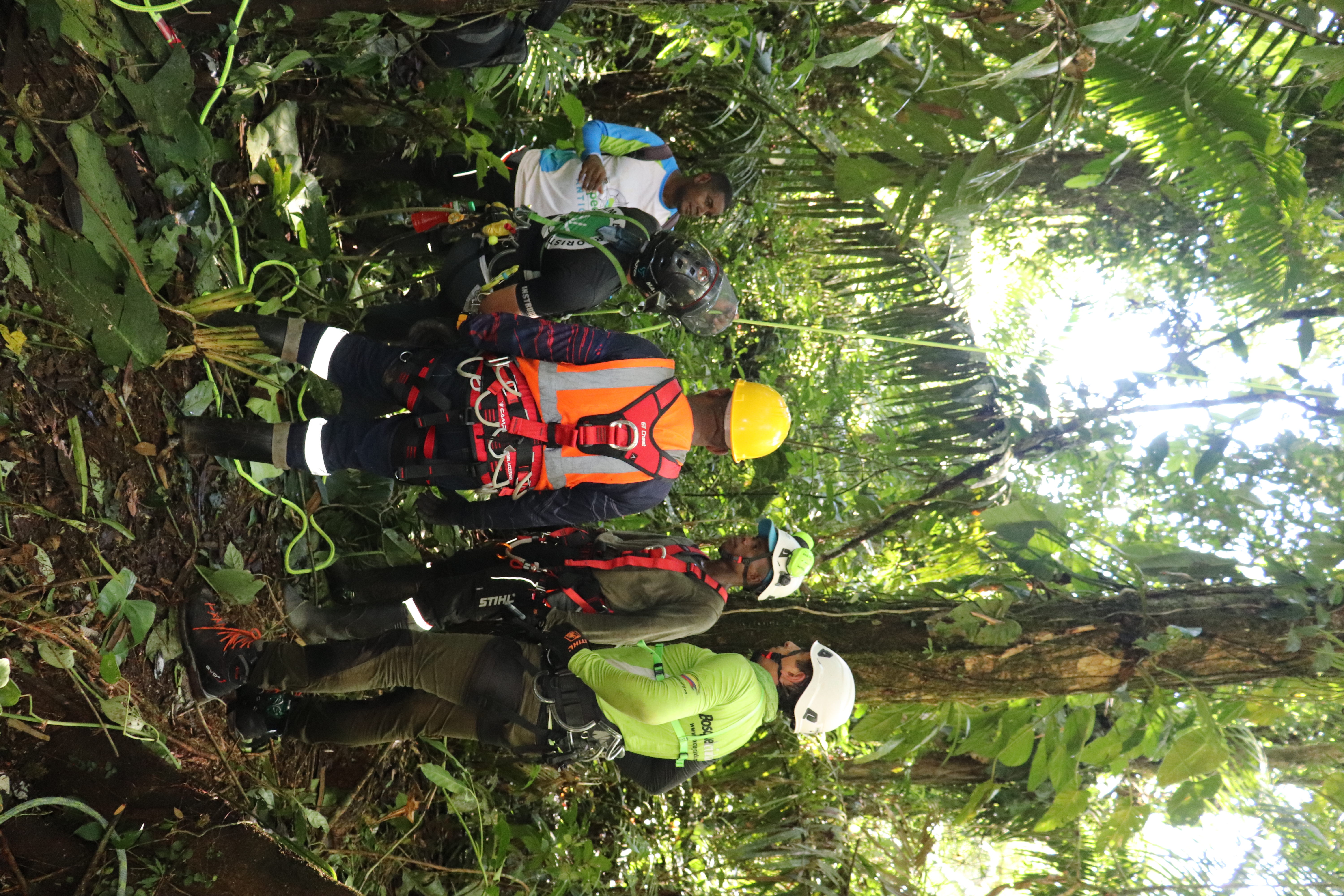Forestería comunitaria en el Medio Atrato: el caso Asofodema y la implementación de manejo forestal sostenible de bajo impacto