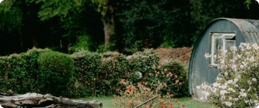 Implicaciones de la Ley 2173 de 2021 y el Rol Técnico de Bosque & Ciudad en la Regeneración de los Ecosistemas